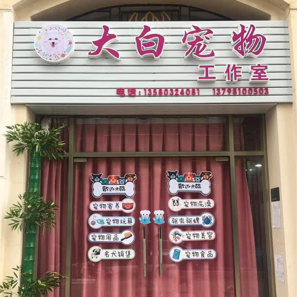 大白宠物工作室:广州市增城区新塘广场附近