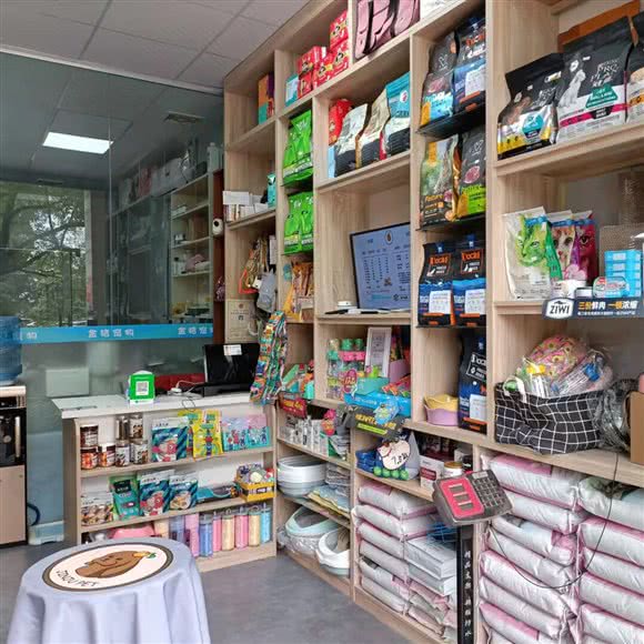 金桔宠物:广州市增城区凤凰城附近