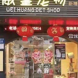 威皇宠物(新塘店):广州市增城区凤凰城附近