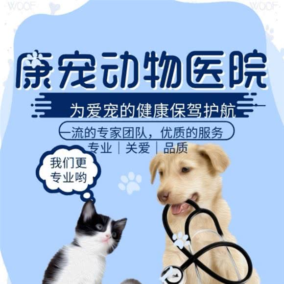 康宠动物医院:广州市增城区太阳城/凯旋门附近