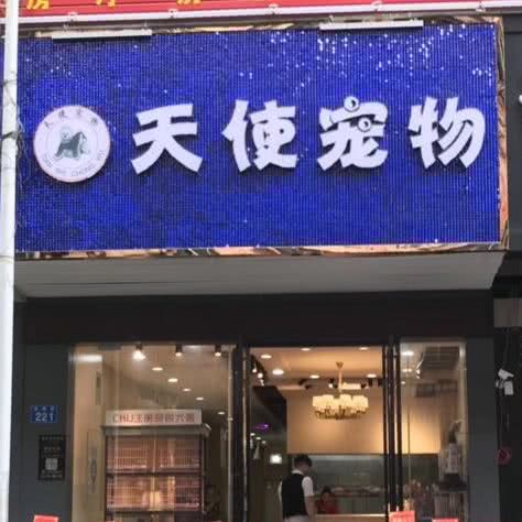 天使宠物店:广州市增城区新塘附近