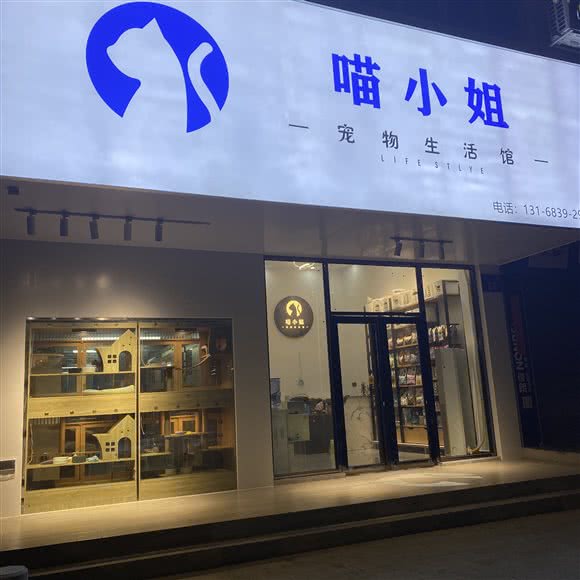 喵小姐宠物生活馆:广州市增城区荔城附近
