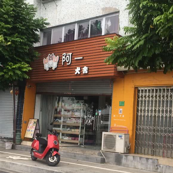 阿一犬舍:广州市增城区荔城附近