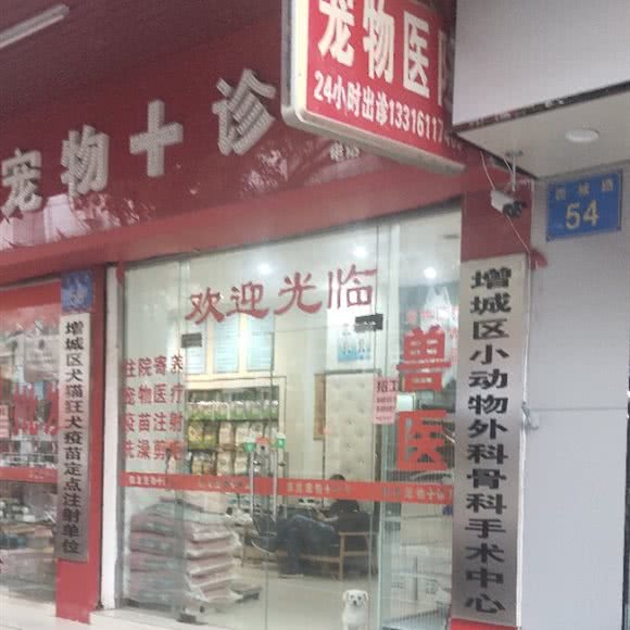 增城区小动物外科骨科手术中心:广州市增城区荔城附近