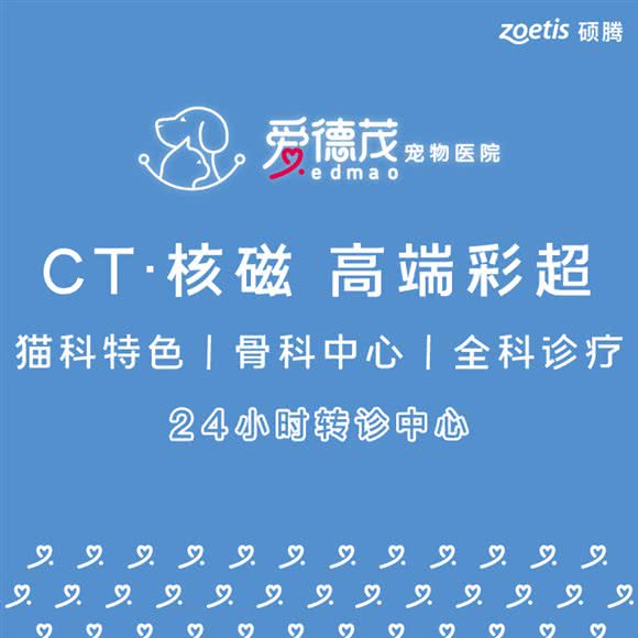 爱德茂宠物医院(爱德茂宠物医院韶关分院):韶关市武江区沃尔玛附近