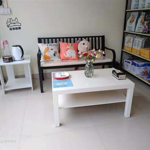 宠诺宠物:韶关市武江区惠民北路附近