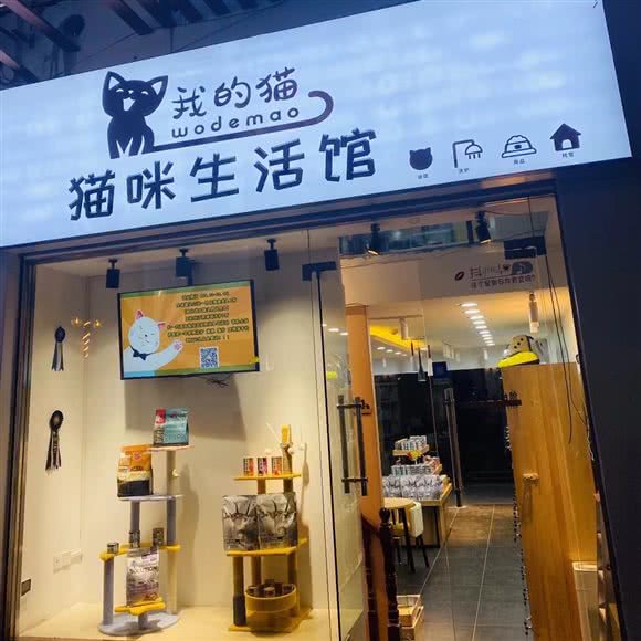 我的猫·猫馆:韶关市浈江区百年东街附近