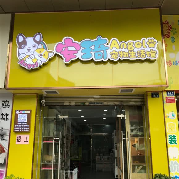 安琦宠物生活馆:韶关市浈江区解放路附近