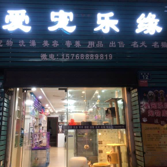 爱宠乐缘:韶关市浈江区解放路附近