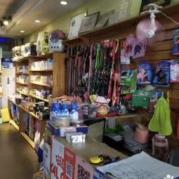 丑丑kiko奇可宠物:韶关市浈江区中山公园附近