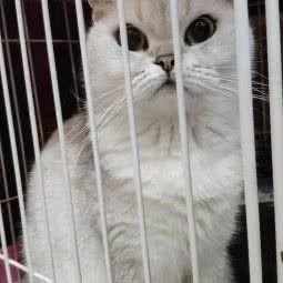 弗瑞斯派宠物(东门南店):深圳市罗湖区火车站附近