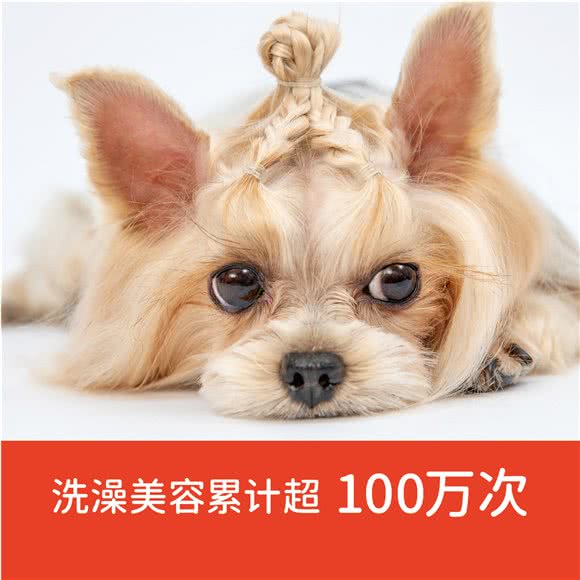 宠物家(汇泰店):深圳市罗湖区火车站附近