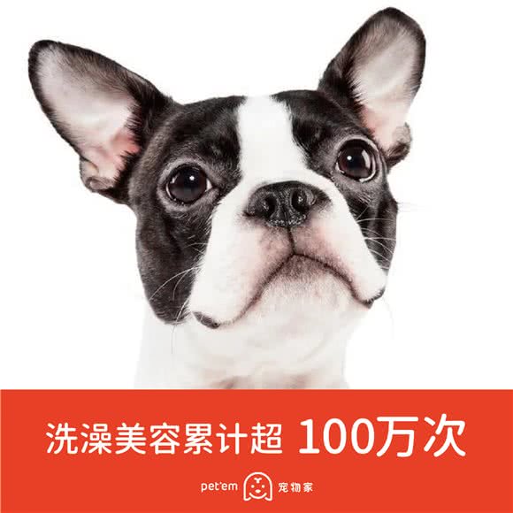 宠物家(喜荟城店):深圳市罗湖区喜荟城/水库附近