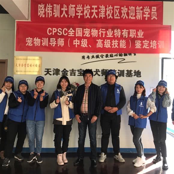 晓伟职业训犬学校(天津校区):天津城区北辰区小淀附近