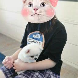 康美宠物(文锦渡店):深圳市罗湖区黄贝岭附近