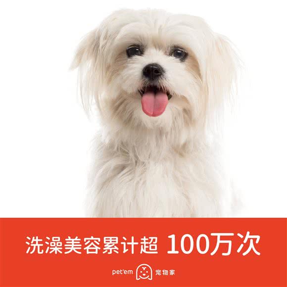 宠物家(鹿鸣园店):深圳市罗湖区布心/太白路附近