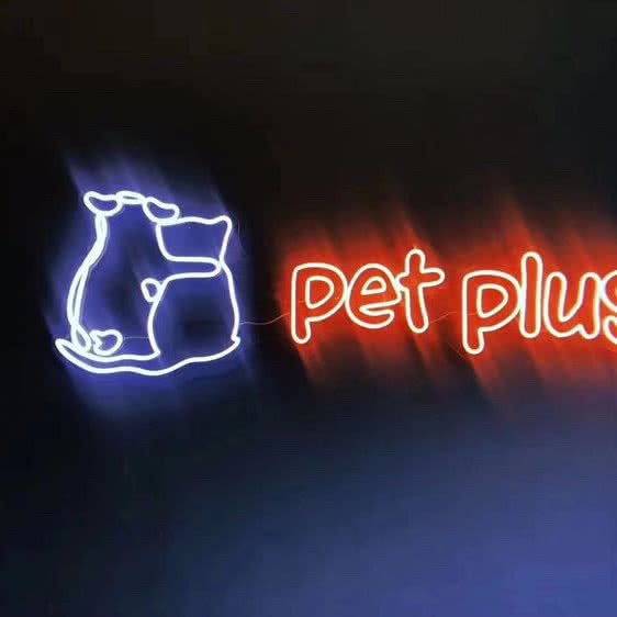 pet plus 猫朋狗友宠物馆:深圳市罗湖区笋岗附近