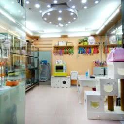 宅喵儿:深圳市罗湖区笋岗附近