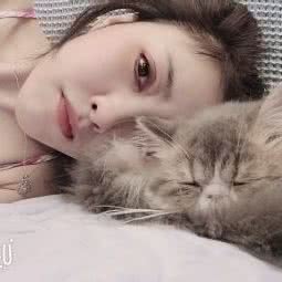 瑞喜名猫(皇庭广场店):深圳市福田区市中心/会展中心附近