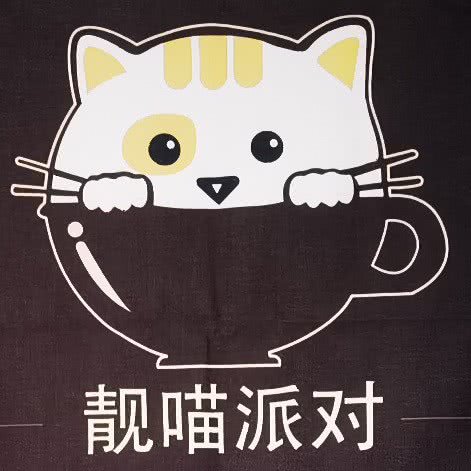 靓喵派对:深圳市福田区车公庙附近