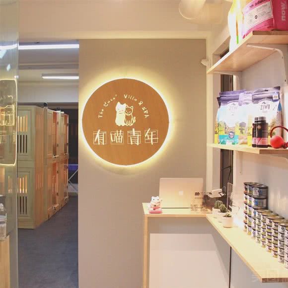 有喵青年猫咪寄养SPA美容工作室:深圳市福田区车公庙附近