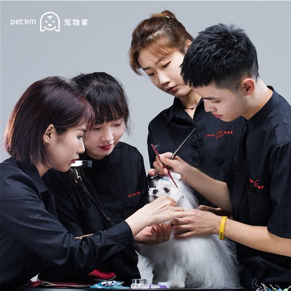 宠物家(下沙店):深圳市福田区上沙/下沙附近