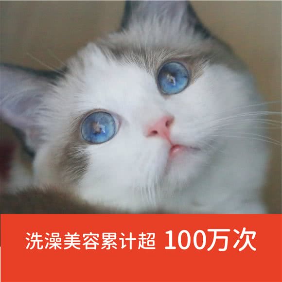 宠物家(下梅林店):深圳市福田区梅林附近