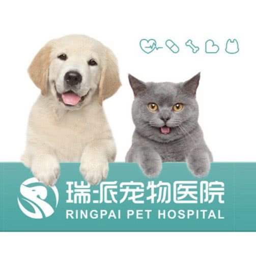 瑞派宠物医院(皇家梅林院):深圳市福田区梅林附近