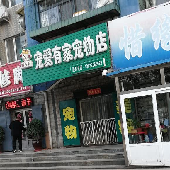 嘻皮狗宠爱有家:天津城区北辰区西横堤/瑞景新天地附近