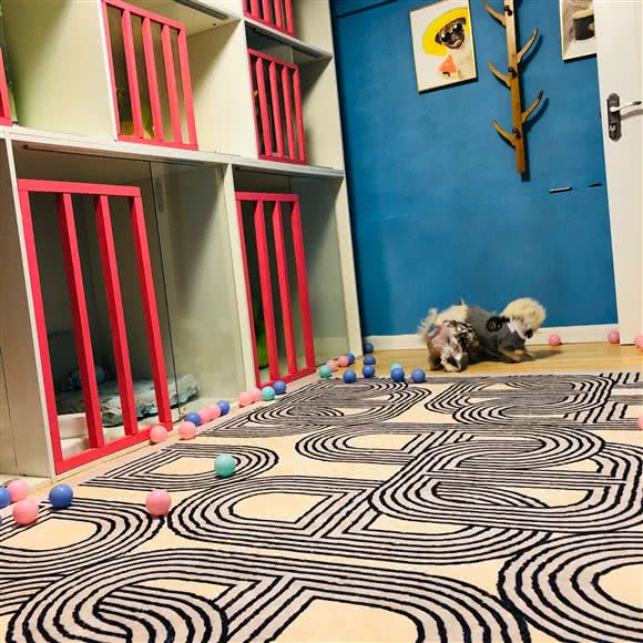 萌主宠物生活馆:深圳市福田区皇岗/水围附近