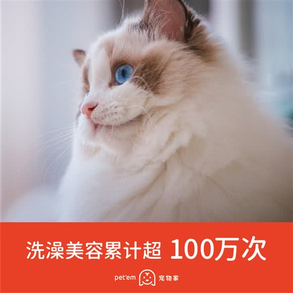 宠物家(石厦北店):深圳市福田区皇岗/水围附近