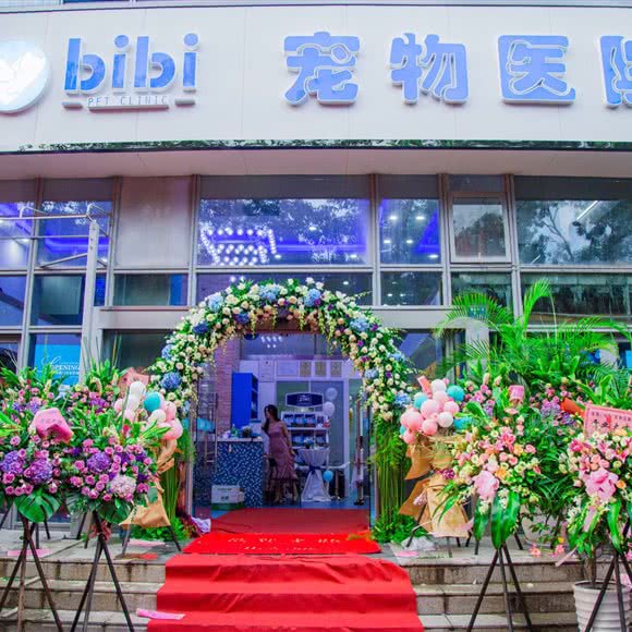 bibi宠物医院:深圳市福田区皇岗/水围附近