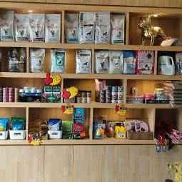 金宝宝宠物医院:深圳市福田区皇岗/水围附近