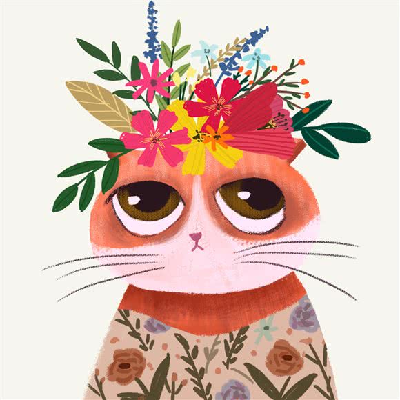 ipet艾派宠物:深圳市福田区景田附近