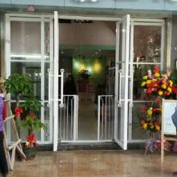 贝贝宠物:深圳市福田区景田附近