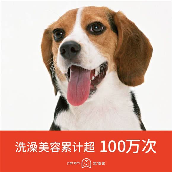 宠物家(景田南店):深圳市福田区景田附近