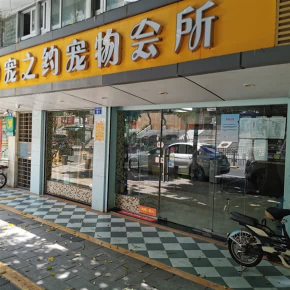 宠之约宠物会所(新洲分店):深圳市福田区新洲/石厦附近