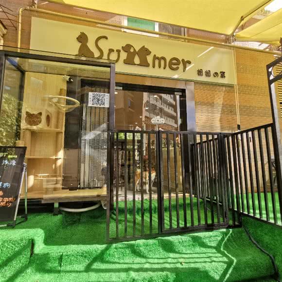 summer姐姐の窝:深圳市福田区新洲/石厦附近