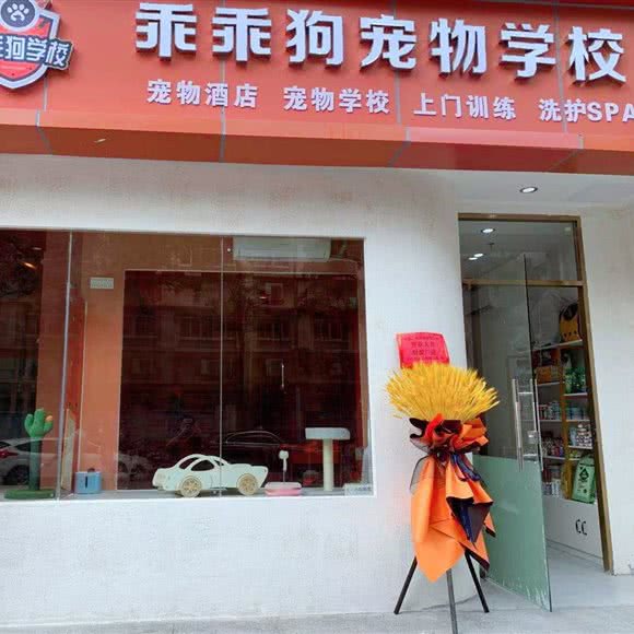 乖乖狗宠物训犬学校:深圳市福田区新洲/石厦附近