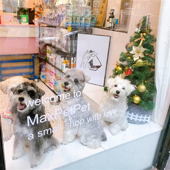 MAX PET PET玛斯宠物生活馆:深圳市福田区新洲/石厦附近