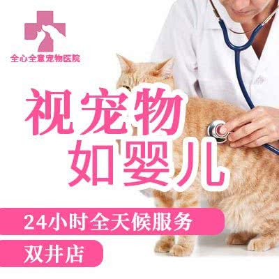 全心全意连锁动物医院(24小时双井店):北京城区朝阳区双井附近