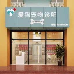 爱狗宠物诊所:深圳市福田区新洲/石厦附近