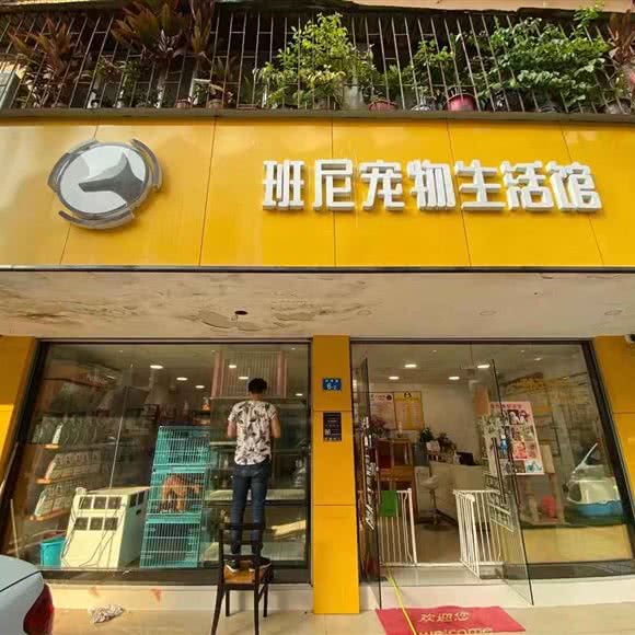 班尼宠物生活馆:深圳市福田区八卦岭/园岭附近