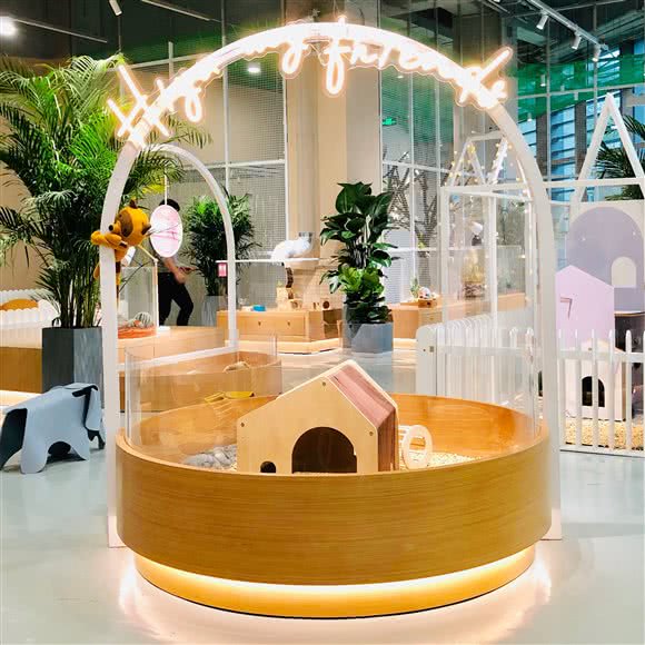 lollypet宠萌社:深圳市福田区竹子林附近