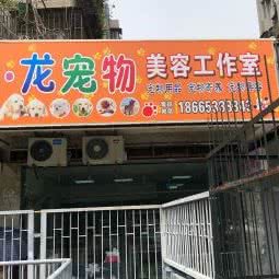 小龙宠物美容工作室:深圳市福田区华强南附近