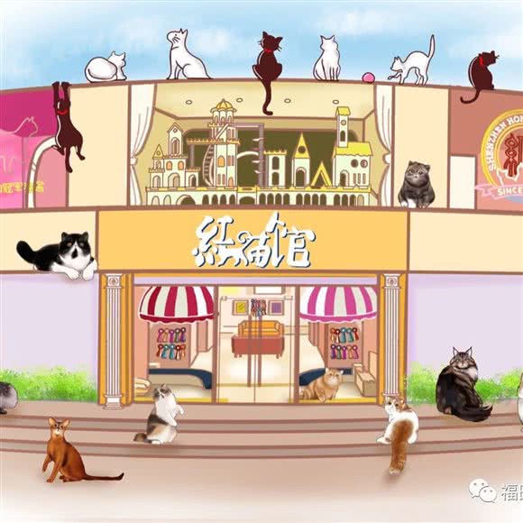 红猫馆:深圳市福田区华强南附近