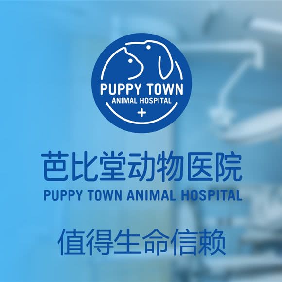 芭比堂动物医院(深圳贵族城分院):深圳市福田区华强南附近