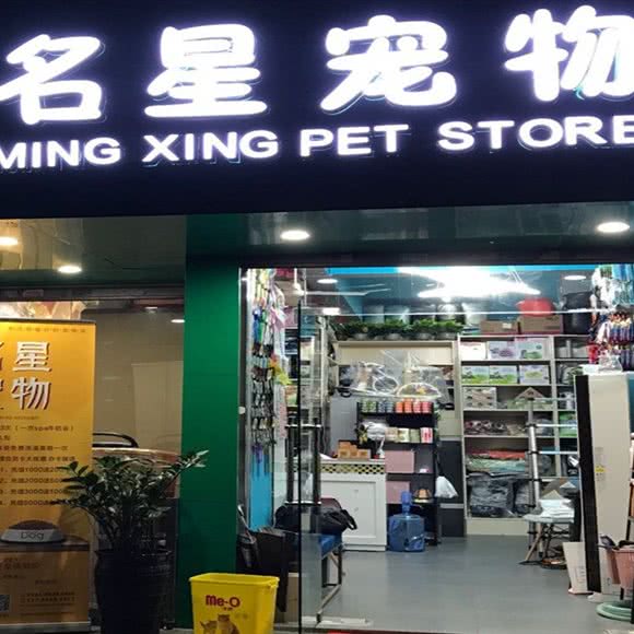 名星宠物会所:深圳市福田区岗厦附近