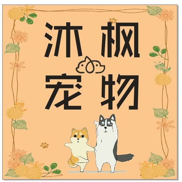 沐枫宠物:深圳市福田区沙头附近