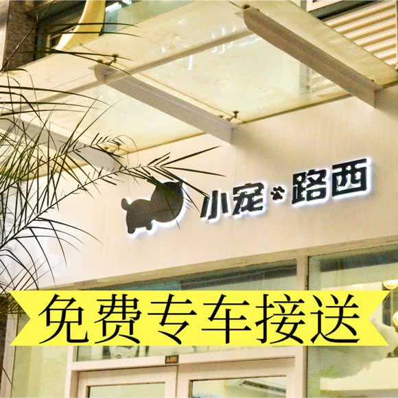 小宠路西·贴心寄养 ·伊珊娜专业洗护调理:深圳市南山区海岸城/保利附近